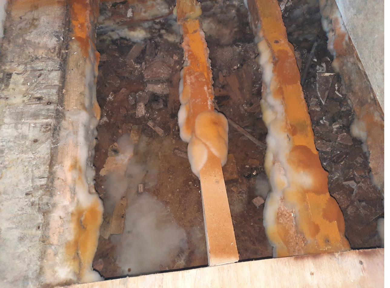 Timber decay affecting structural timbers