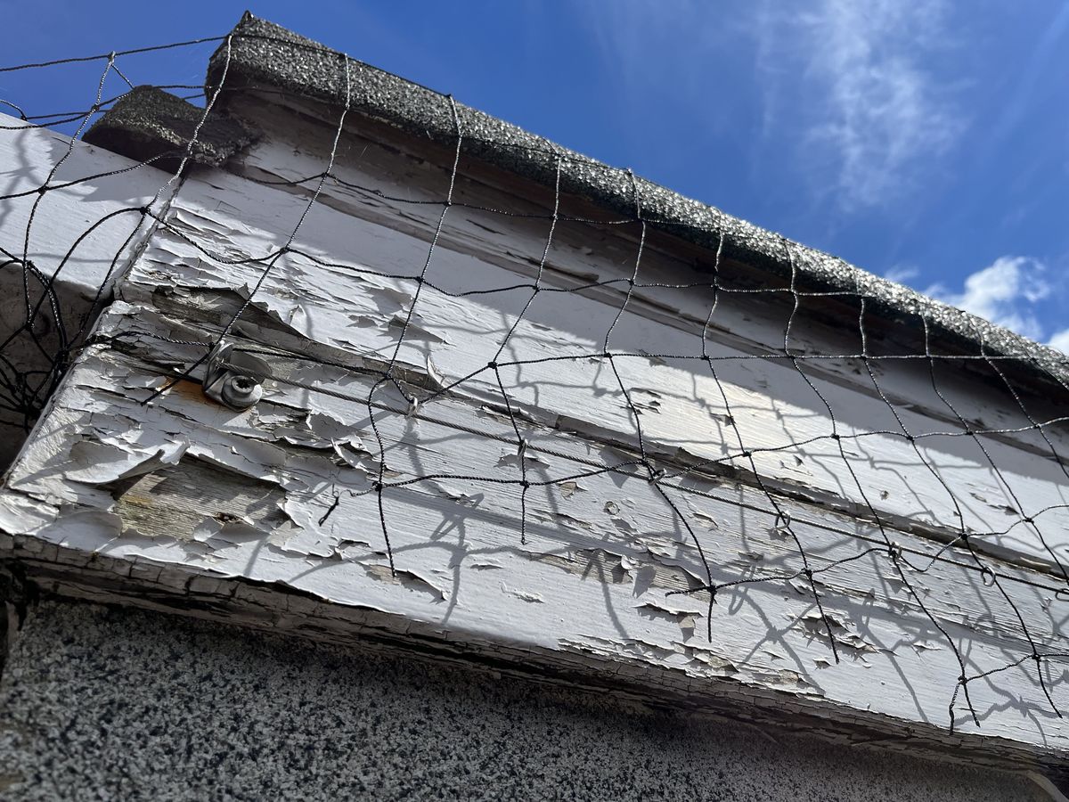Disrepair to a building elevation under a dilapidations claim