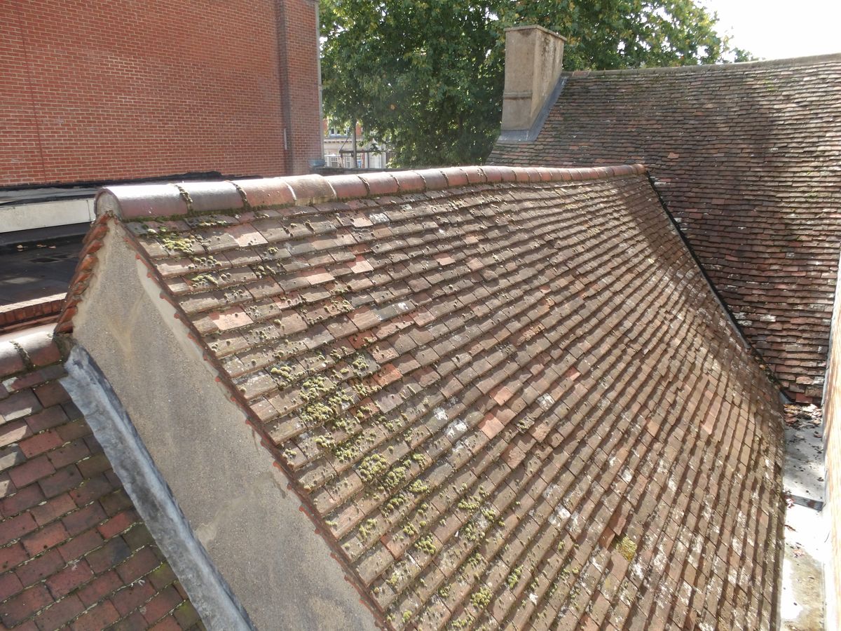 A roof covering recorded for a schedule of condition